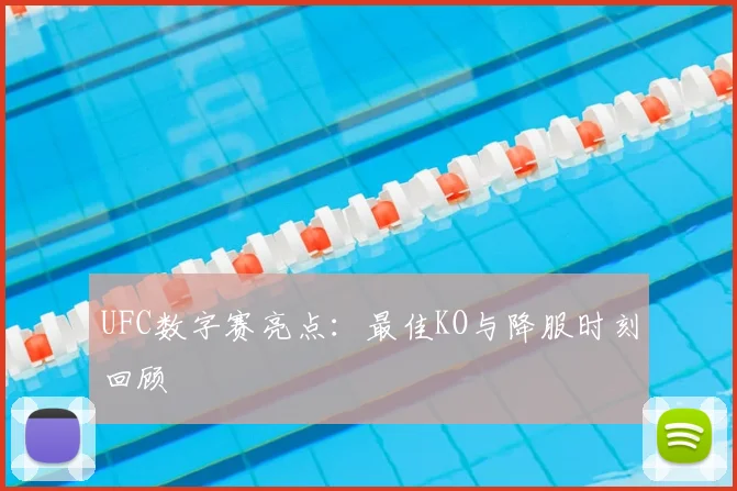 UFC数字赛亮点：最佳KO与降服时刻回顾