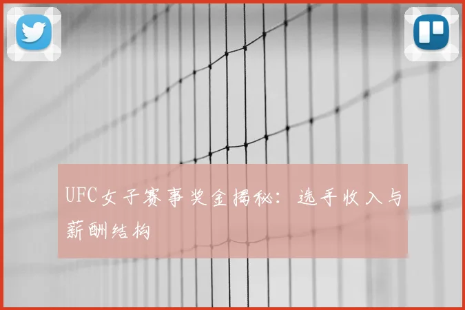 UFC女子赛事奖金揭秘:选手收入与薪酬结构