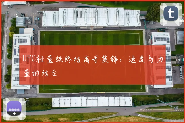 UFC轻量级终结高手集锦,速度与力量的结合
