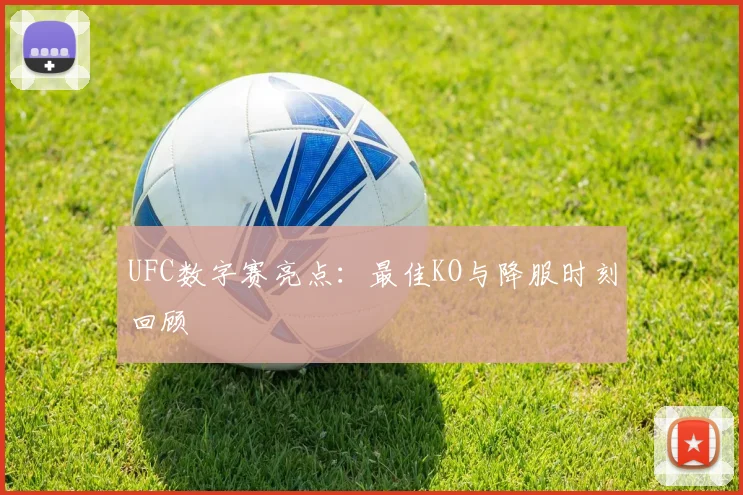 UFC数字赛亮点：最佳KO与降服时刻回顾